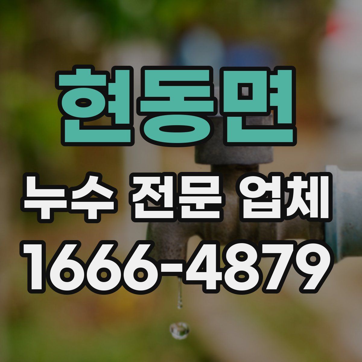 현동면 누수 전문 업체