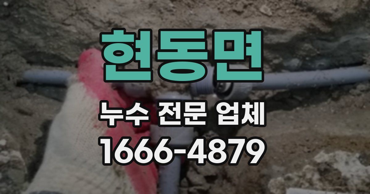 현동면 누수 전문 업체