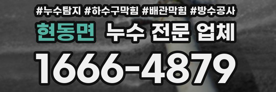 현동면 누수 전문 업체