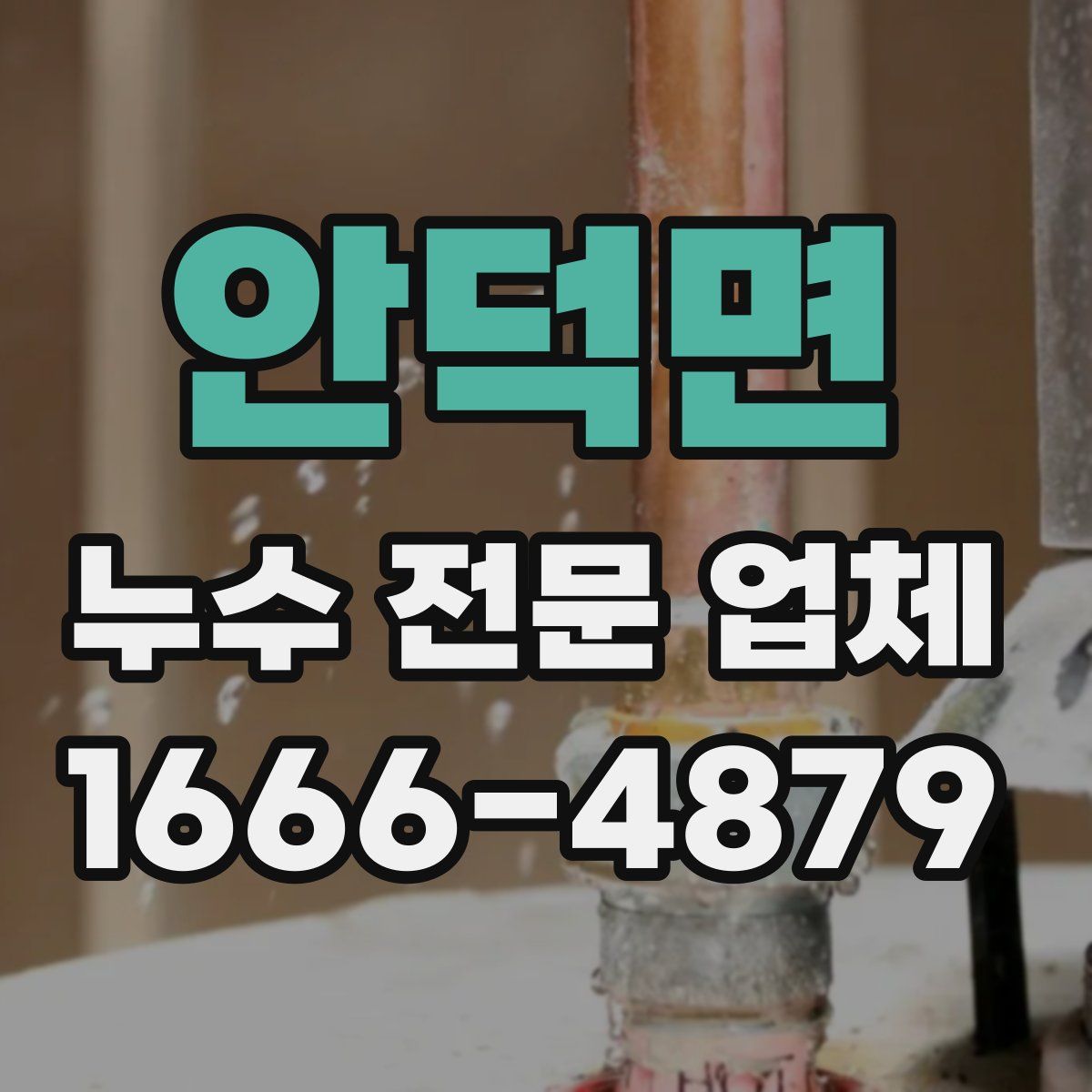 안덕면 누수 전문 업체