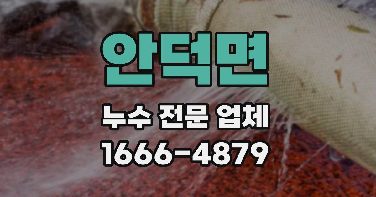 안덕면 누수 전문 업체