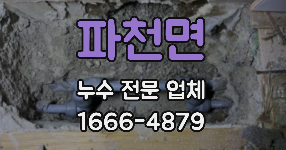 파천면 누수 전문 업체
