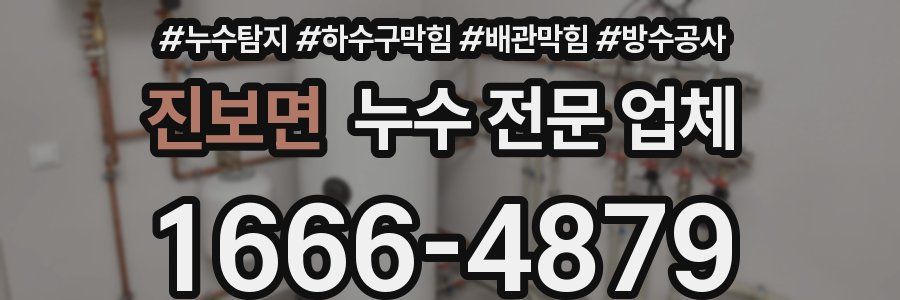 진보면 누수 전문 업체