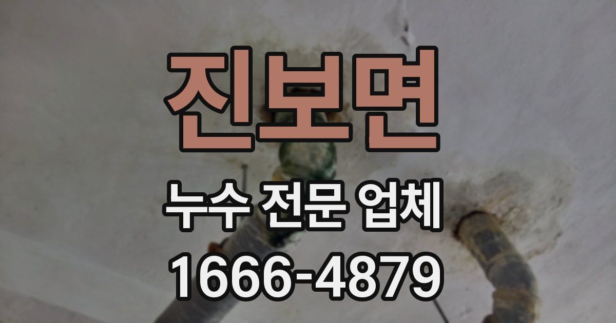 진보면 누수 전문 업체