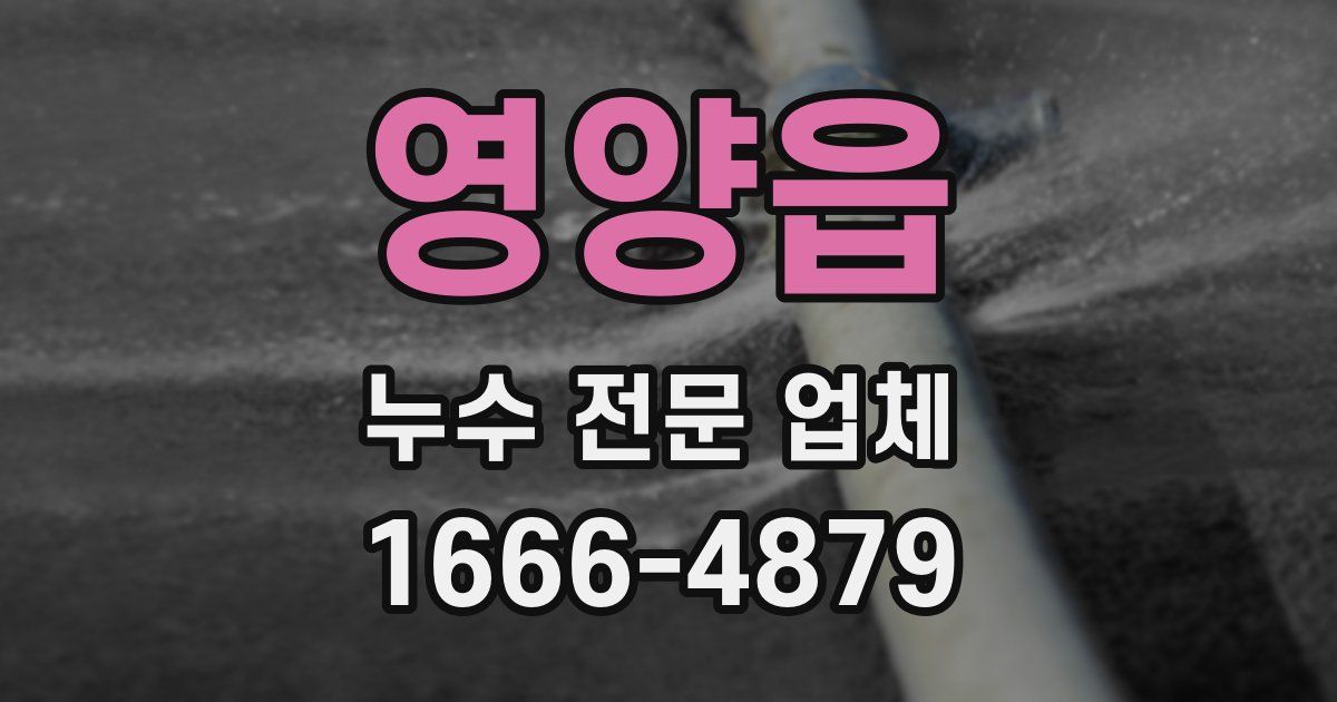 영양읍 누수 전문 업체