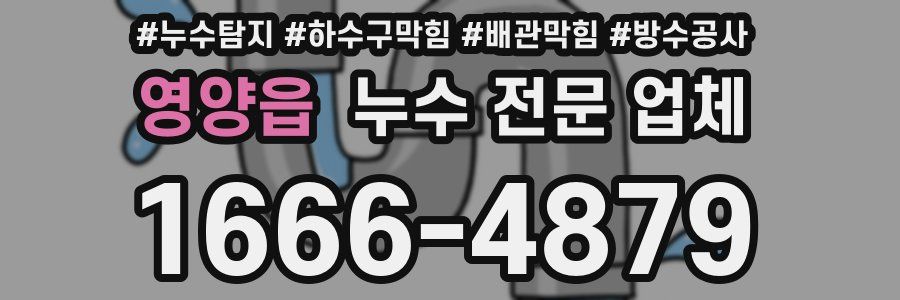 영양읍 누수 전문 업체