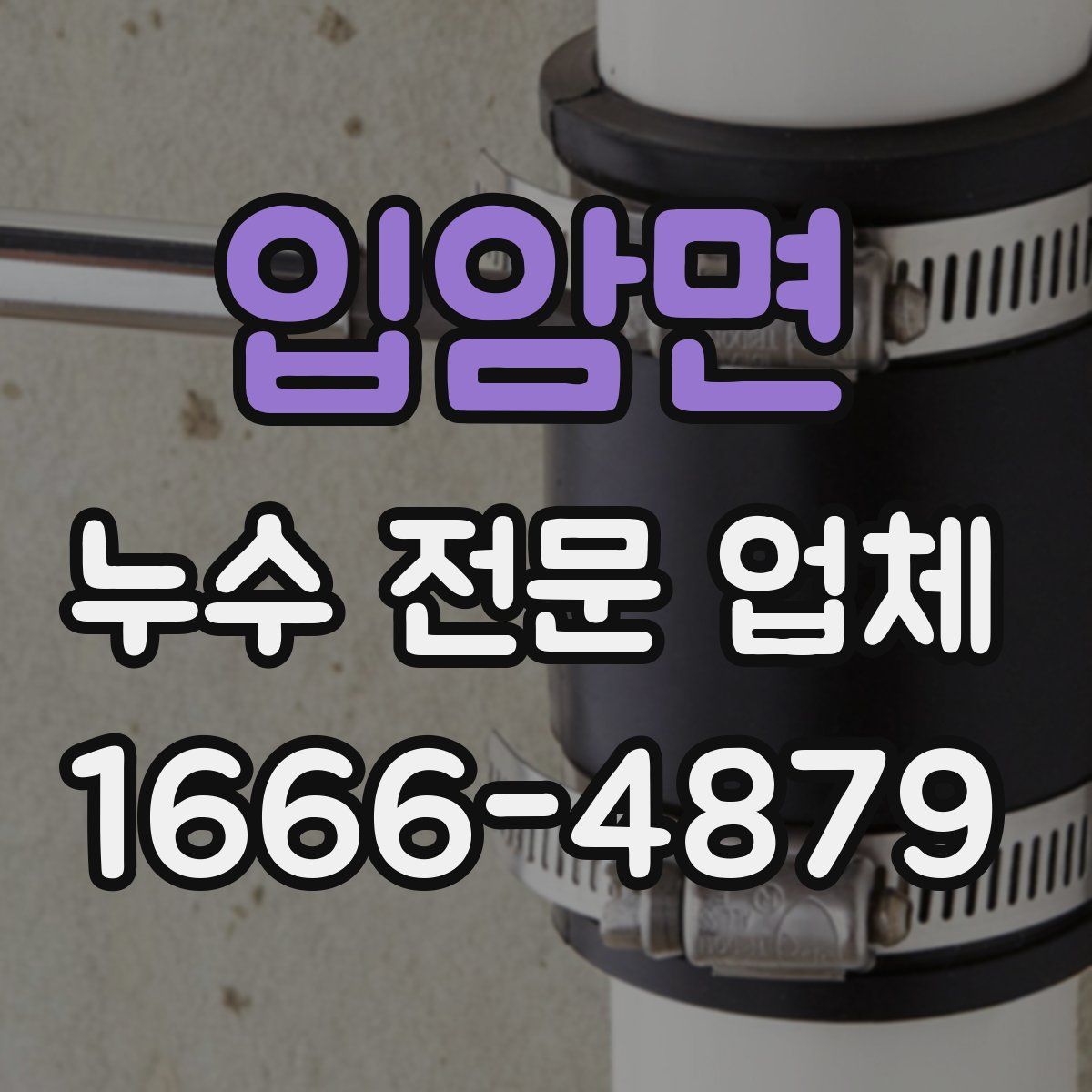 입암면 누수 전문 업체