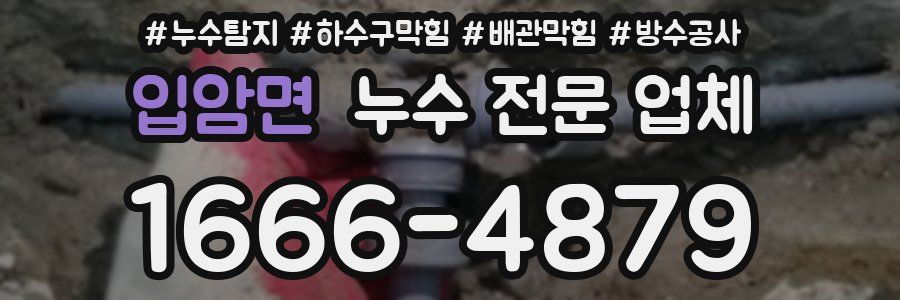 입암면 누수 전문 업체
