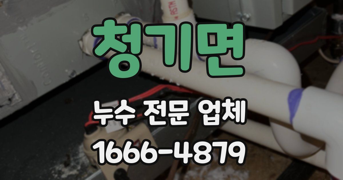청기면 누수 전문 업체
