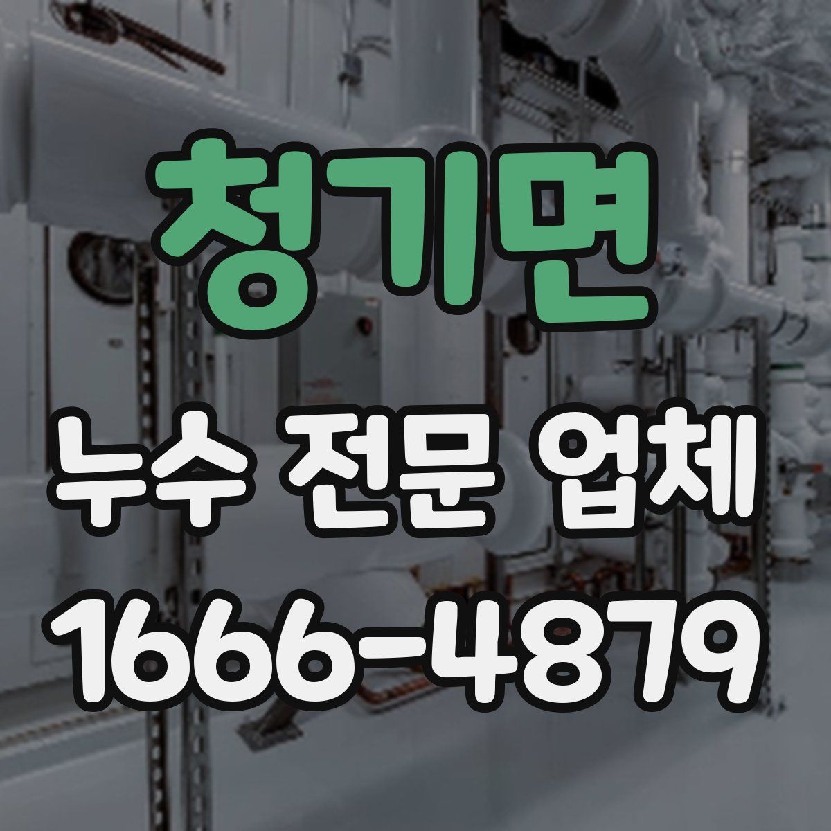 청기면 누수 전문 업체