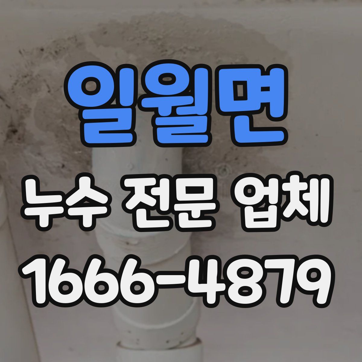 일월면 누수 전문 업체