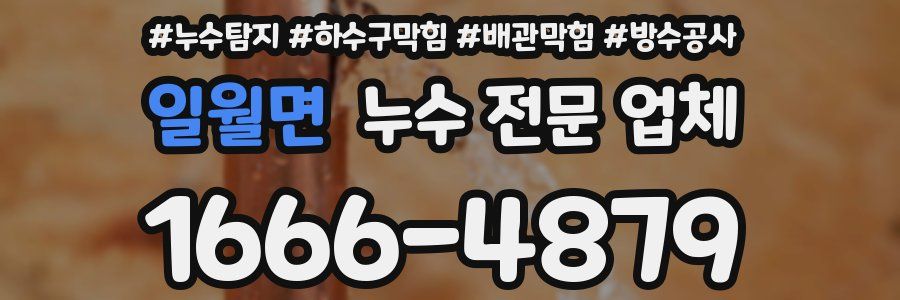 일월면 누수 전문 업체
