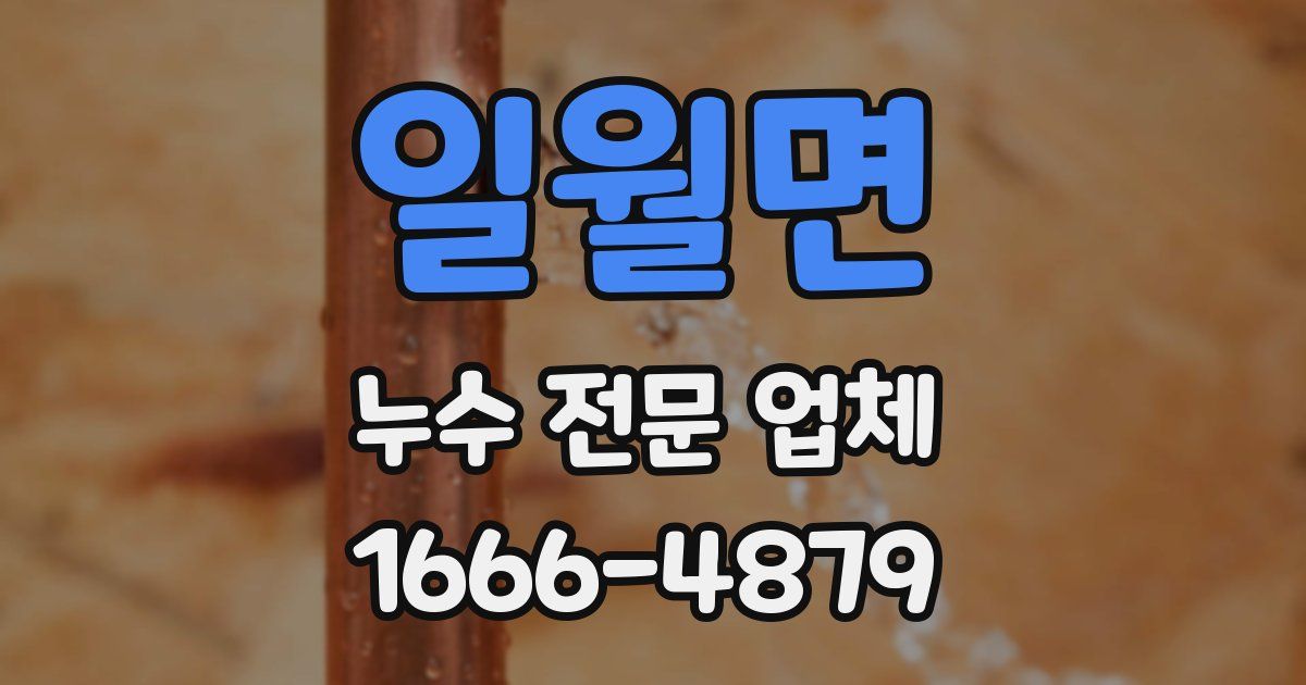 일월면 누수 전문 업체