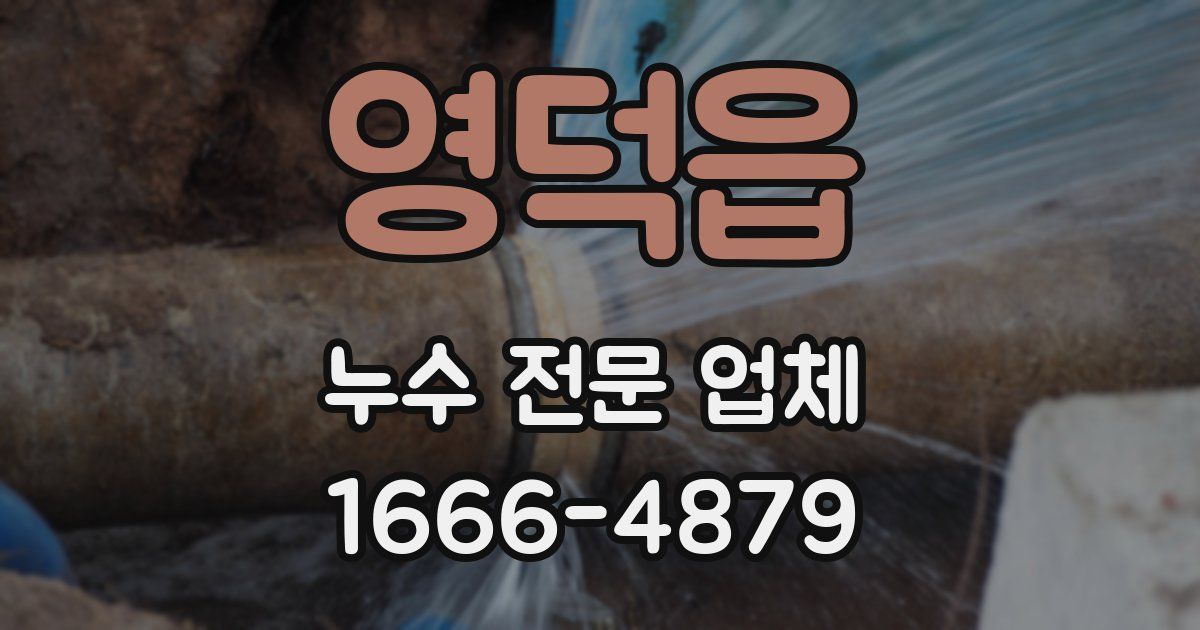 영덕읍 누수 전문 업체