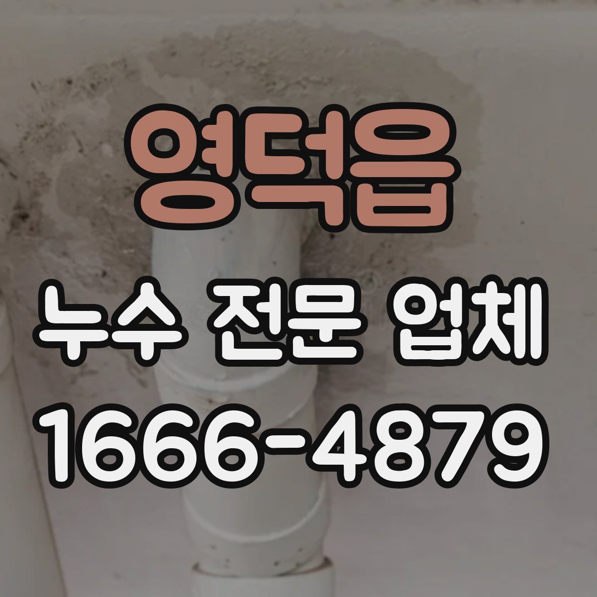영덕읍 누수 전문 업체