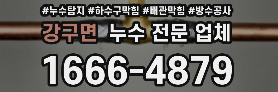 강구면 누수 전문 업체
