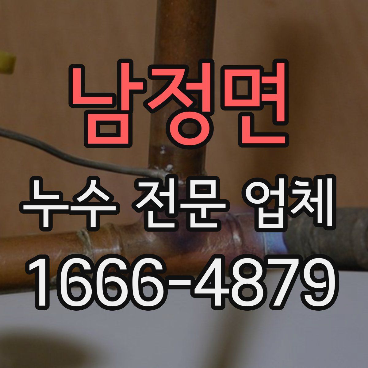 남정면 누수 전문 업체