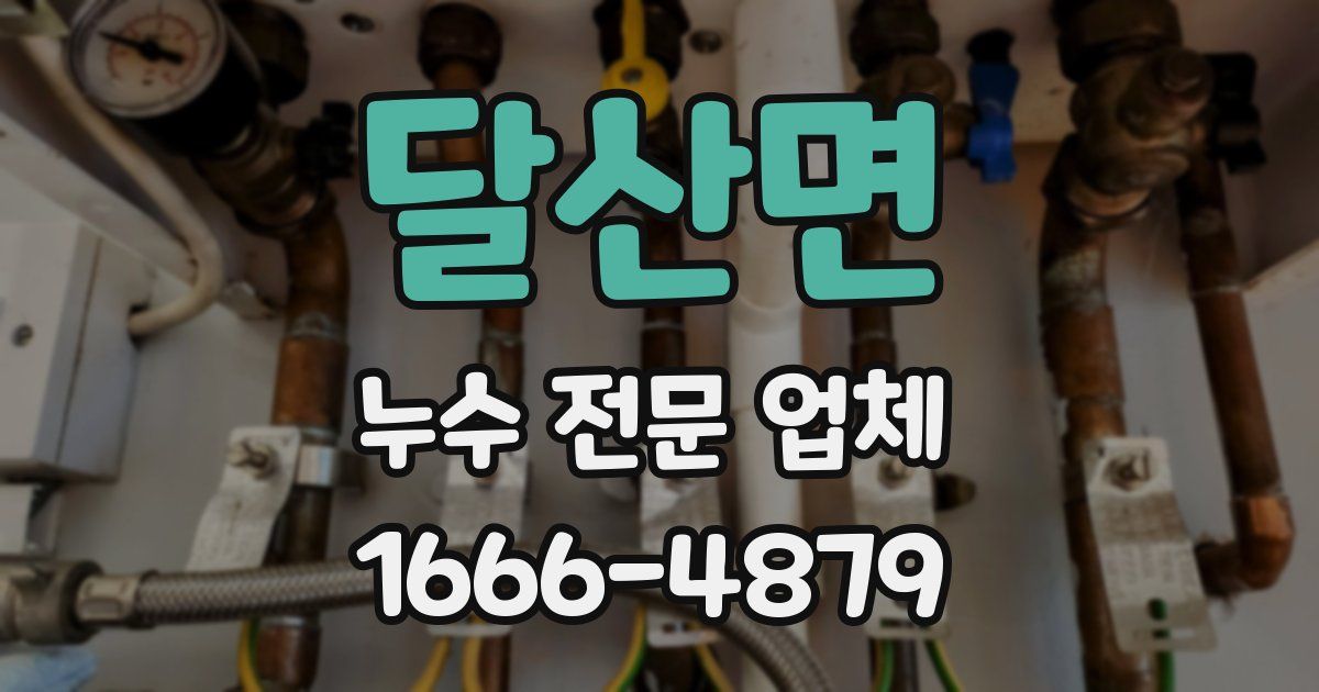 달산면 누수 전문 업체