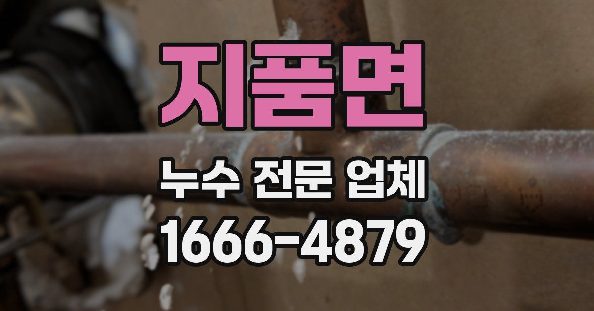 지품면 누수 전문 업체