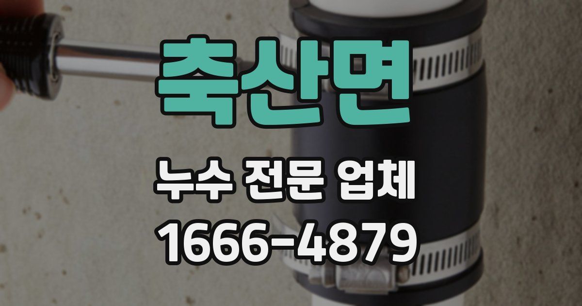 축산면 누수 전문 업체