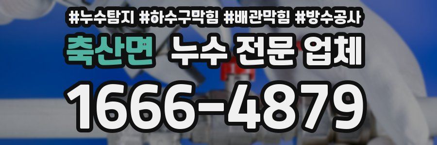 축산면 누수 전문 업체