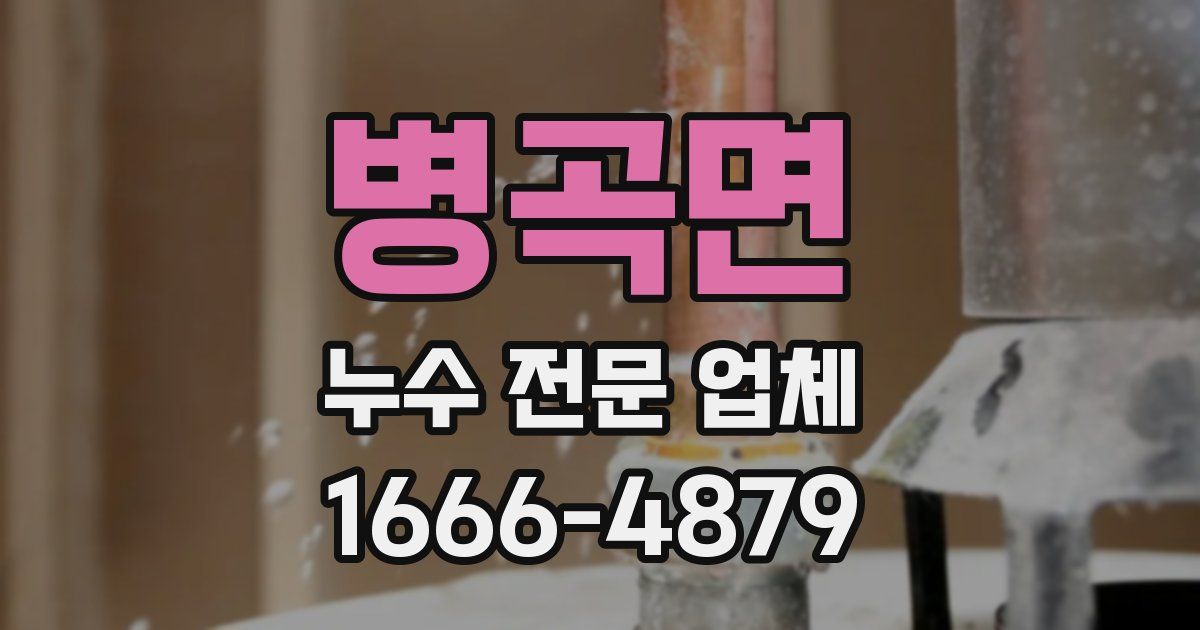 병곡면 누수 전문 업체