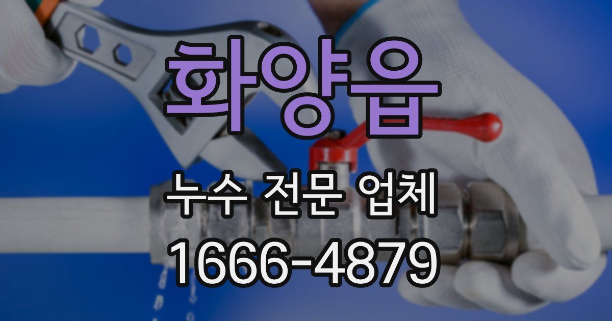 화양읍 누수 전문 업체