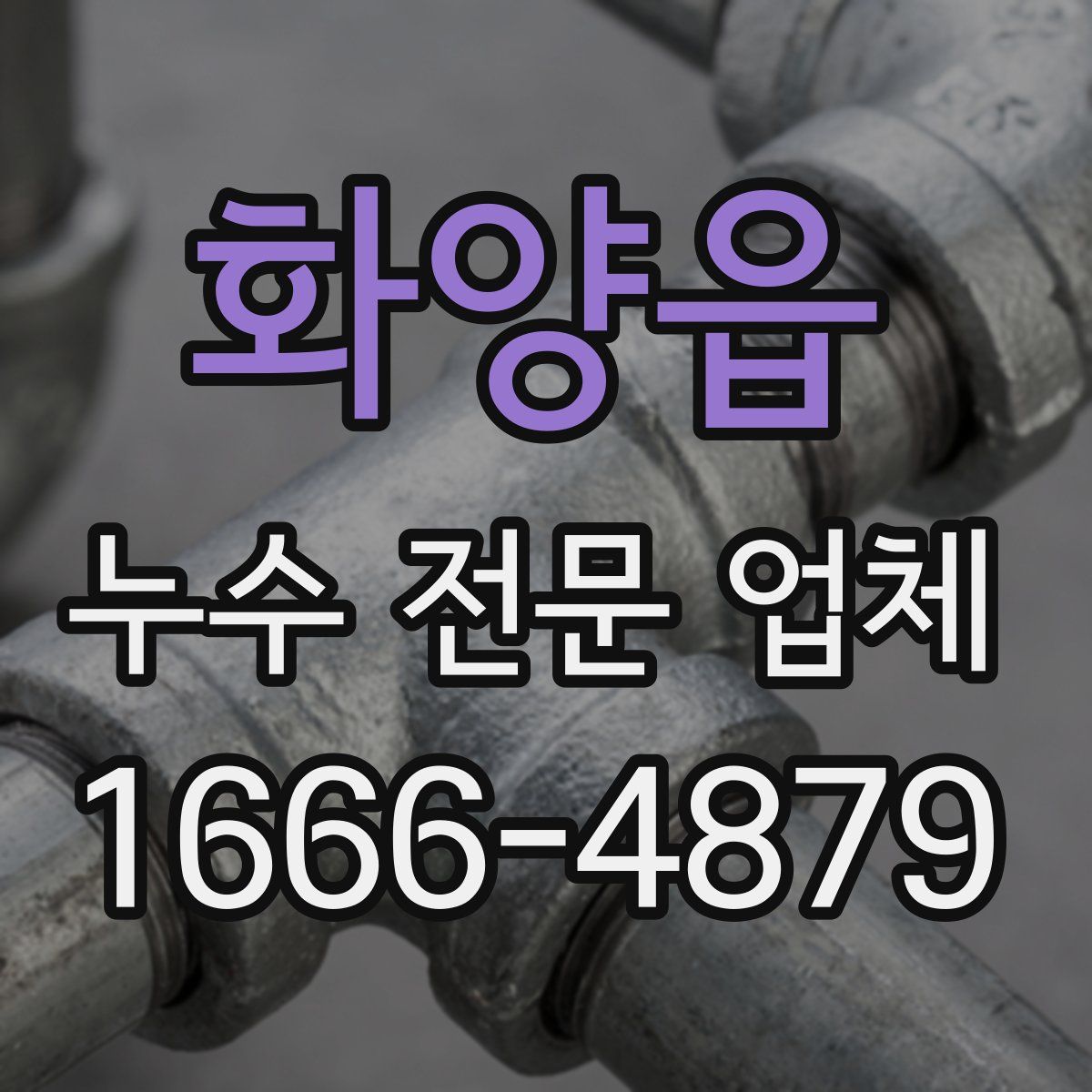 화양읍 누수 전문 업체
