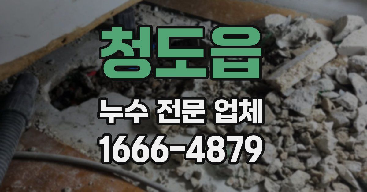청도읍 누수 전문 업체