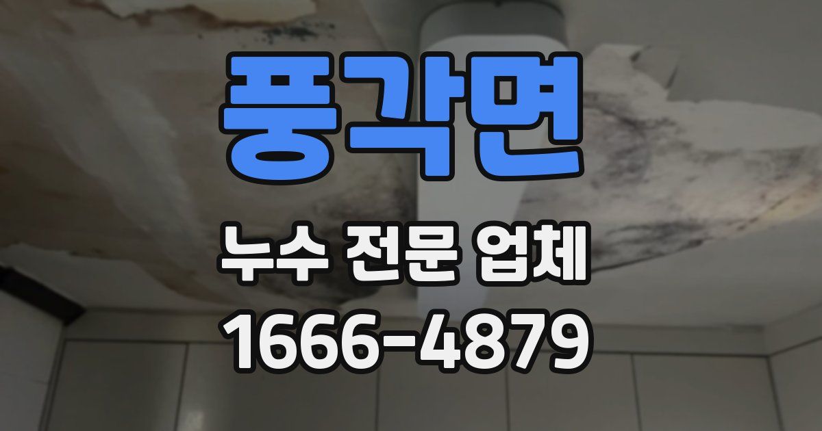 풍각면 누수 전문 업체