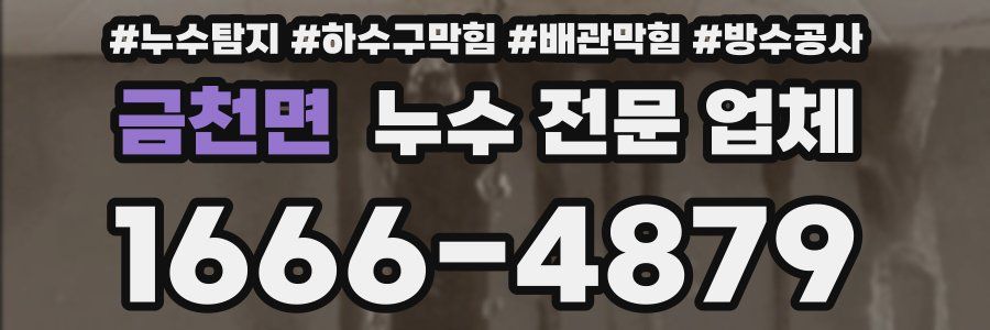 금천면 누수 전문 업체