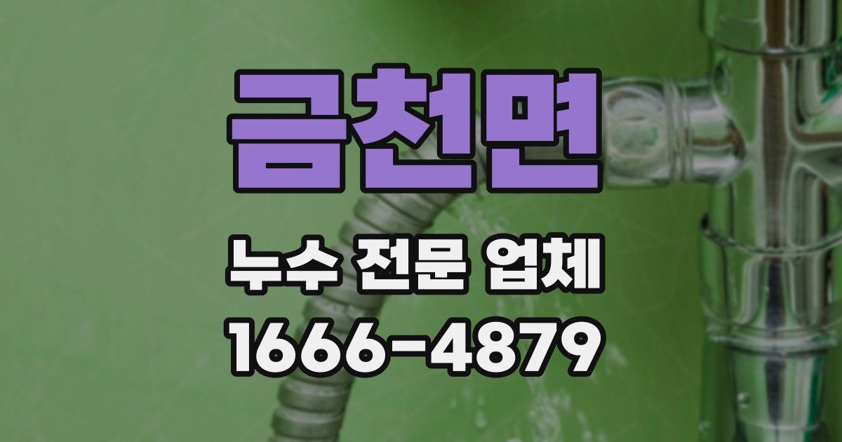 금천면 누수 전문 업체