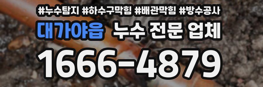대가야읍 누수 전문 업체