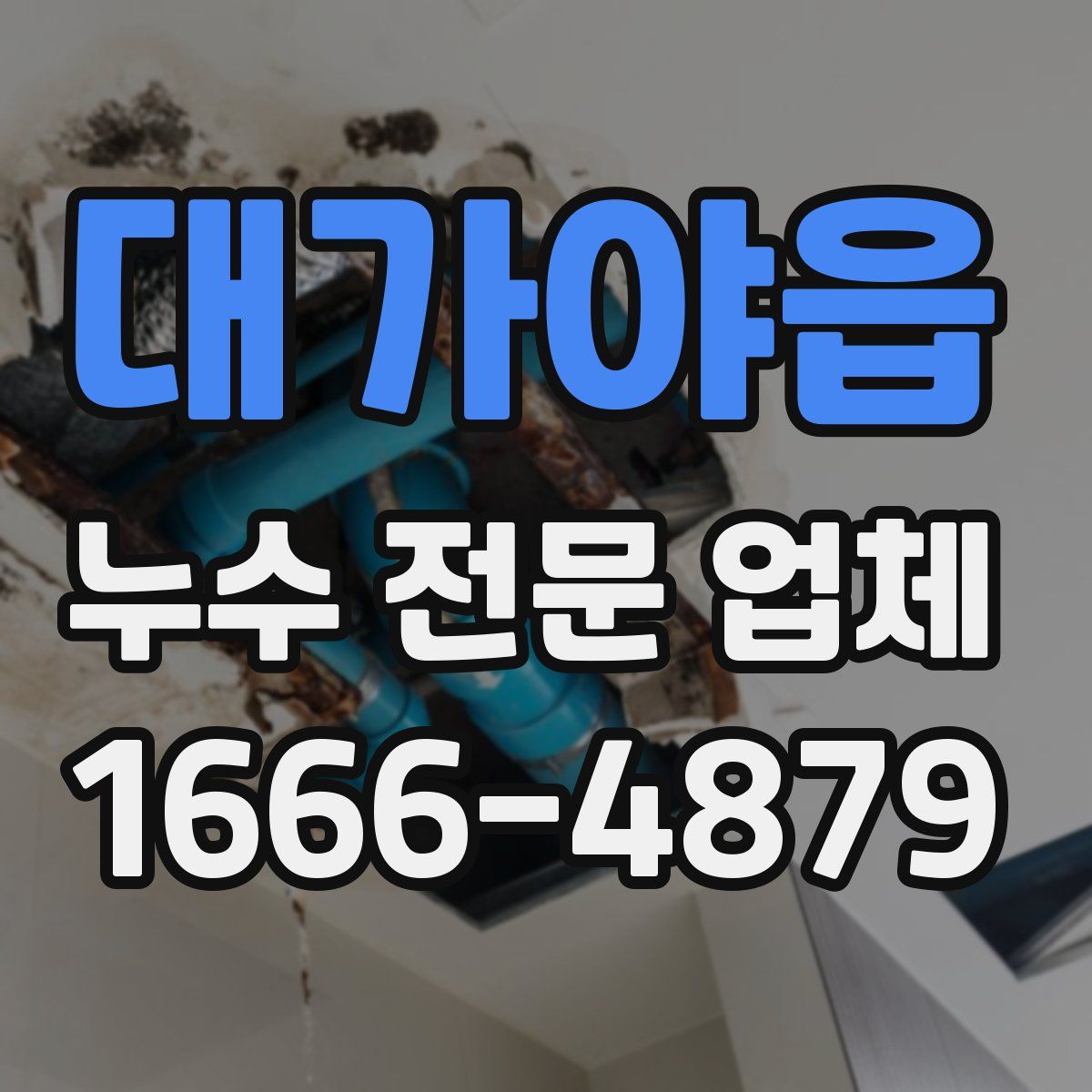 대가야읍 누수 전문 업체