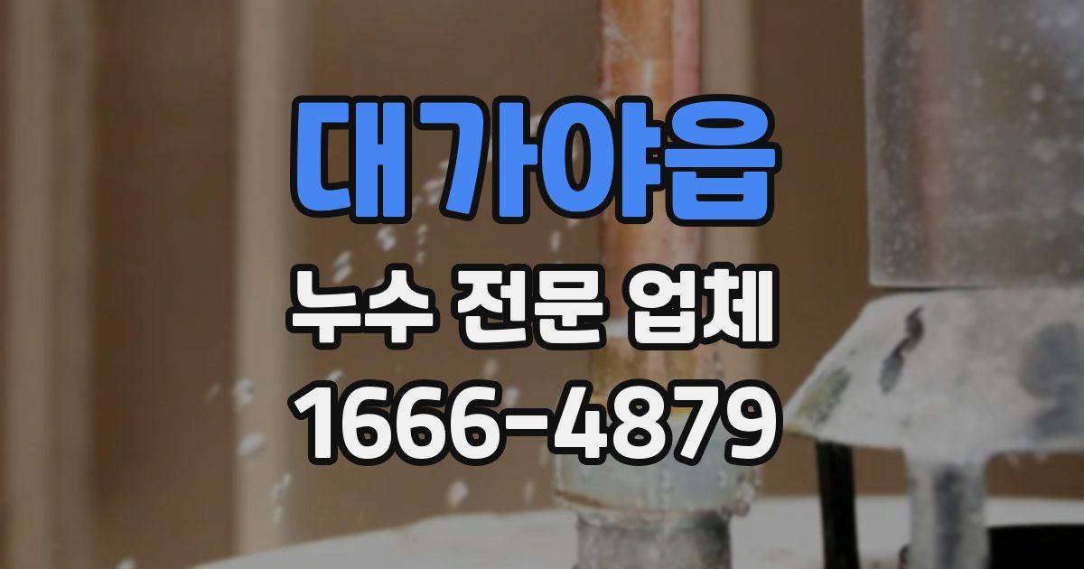 대가야읍 누수 전문 업체
