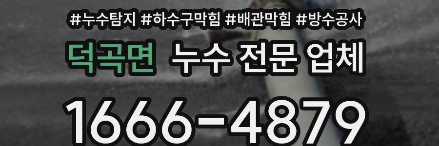 덕곡면 누수 전문 업체