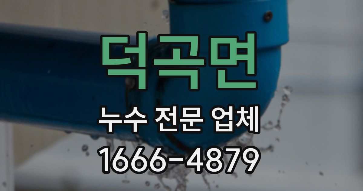 덕곡면 누수 전문 업체