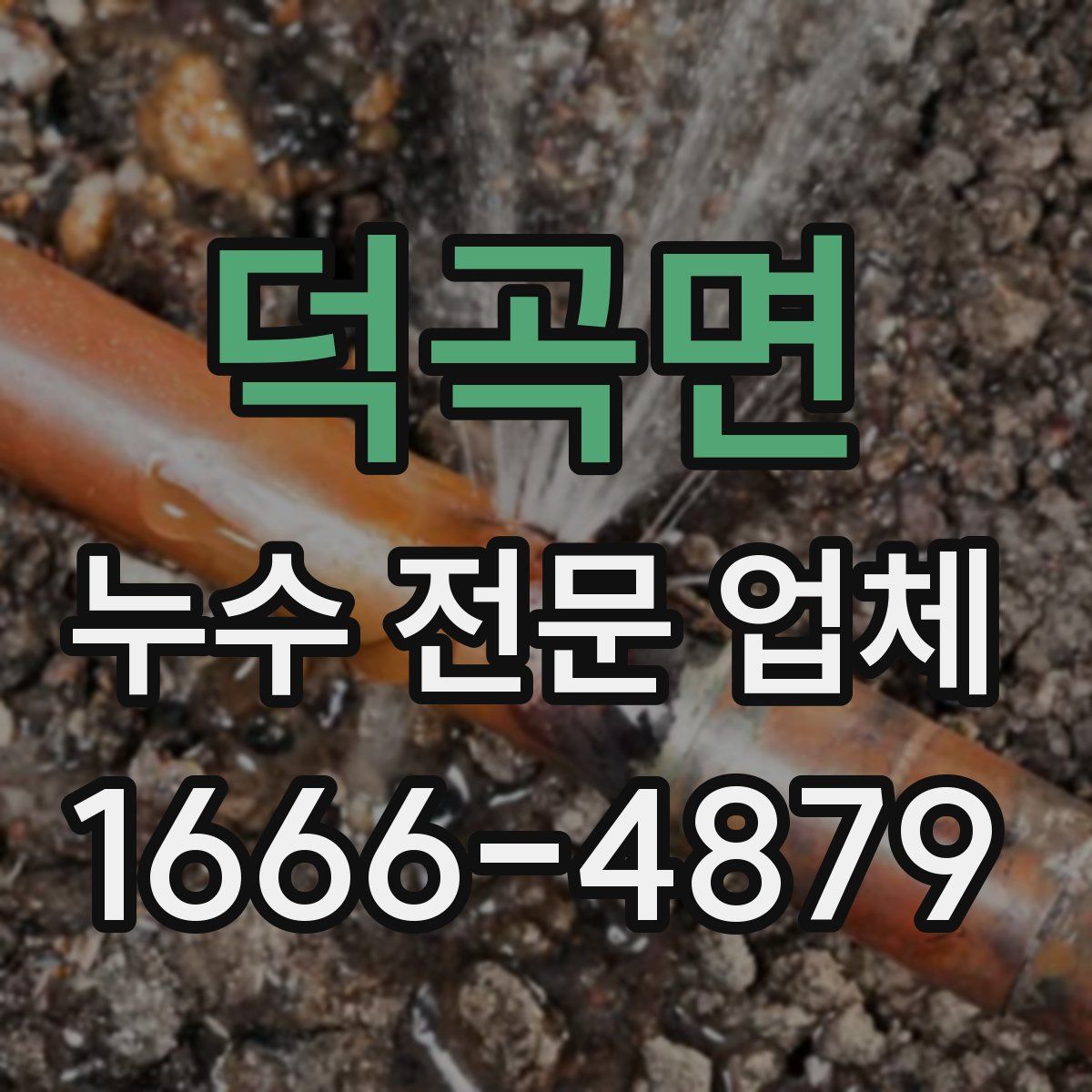 덕곡면 누수 전문 업체