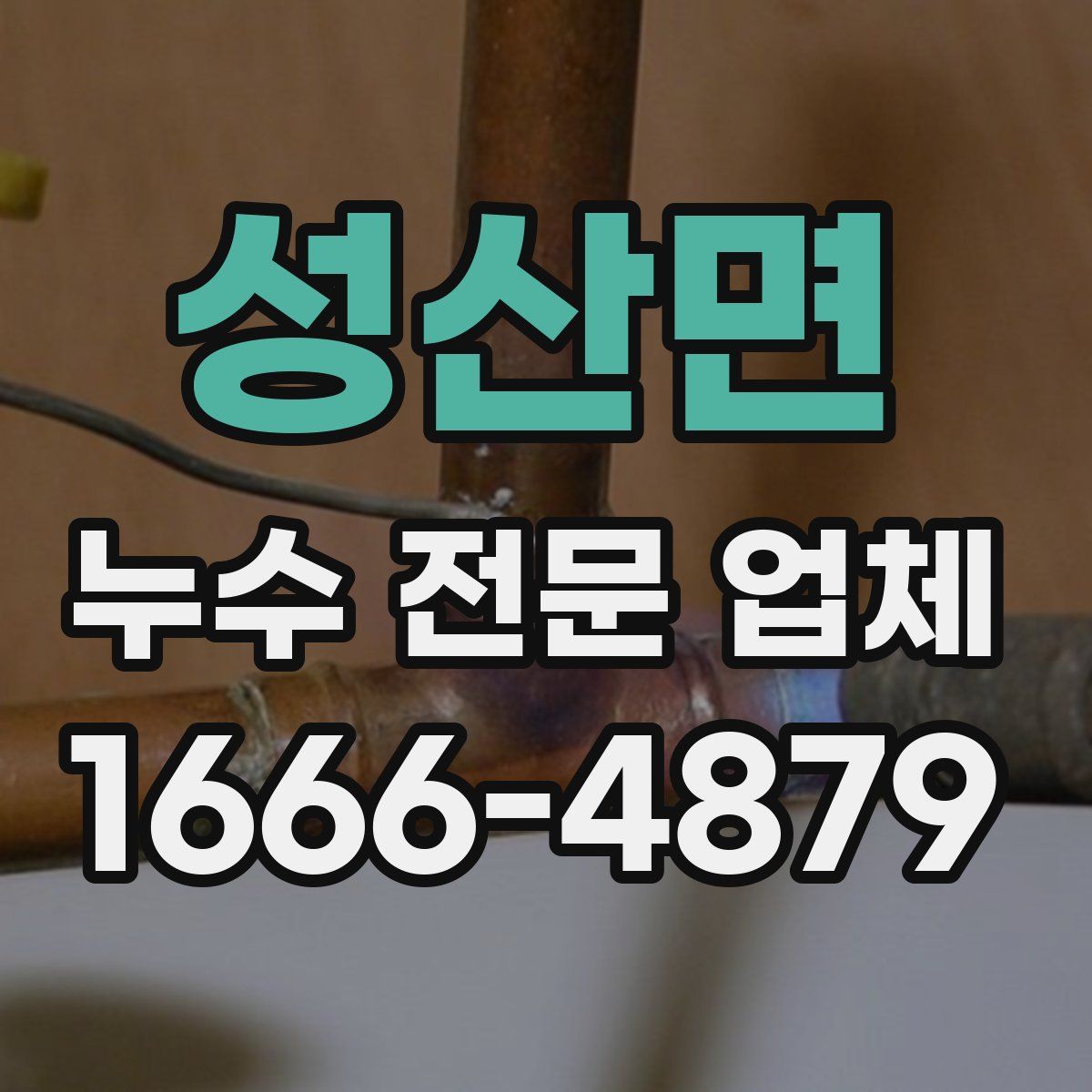 성산면 누수 전문 업체