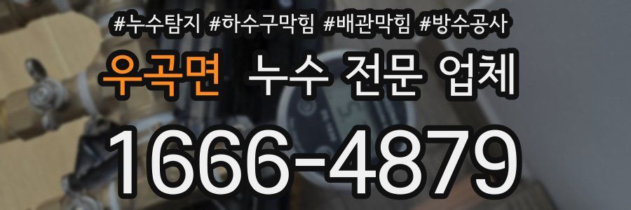 우곡면 누수 전문 업체