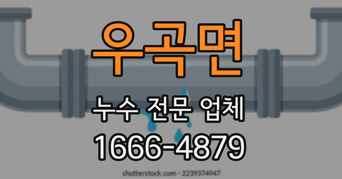 우곡면 누수 전문 업체