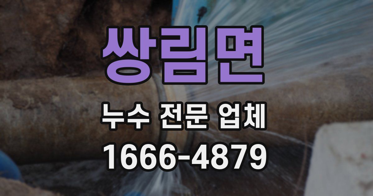 쌍림면 누수 전문 업체
