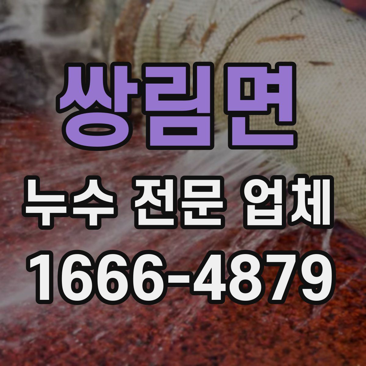 쌍림면 누수 전문 업체