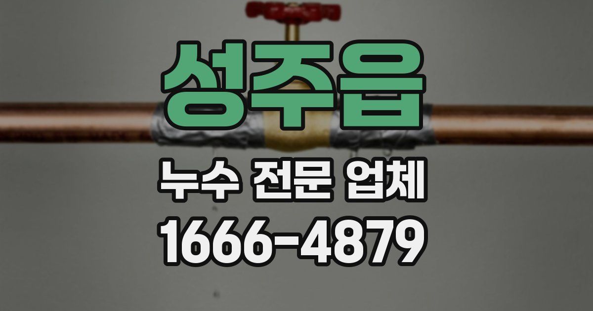 성주읍 누수 전문 업체