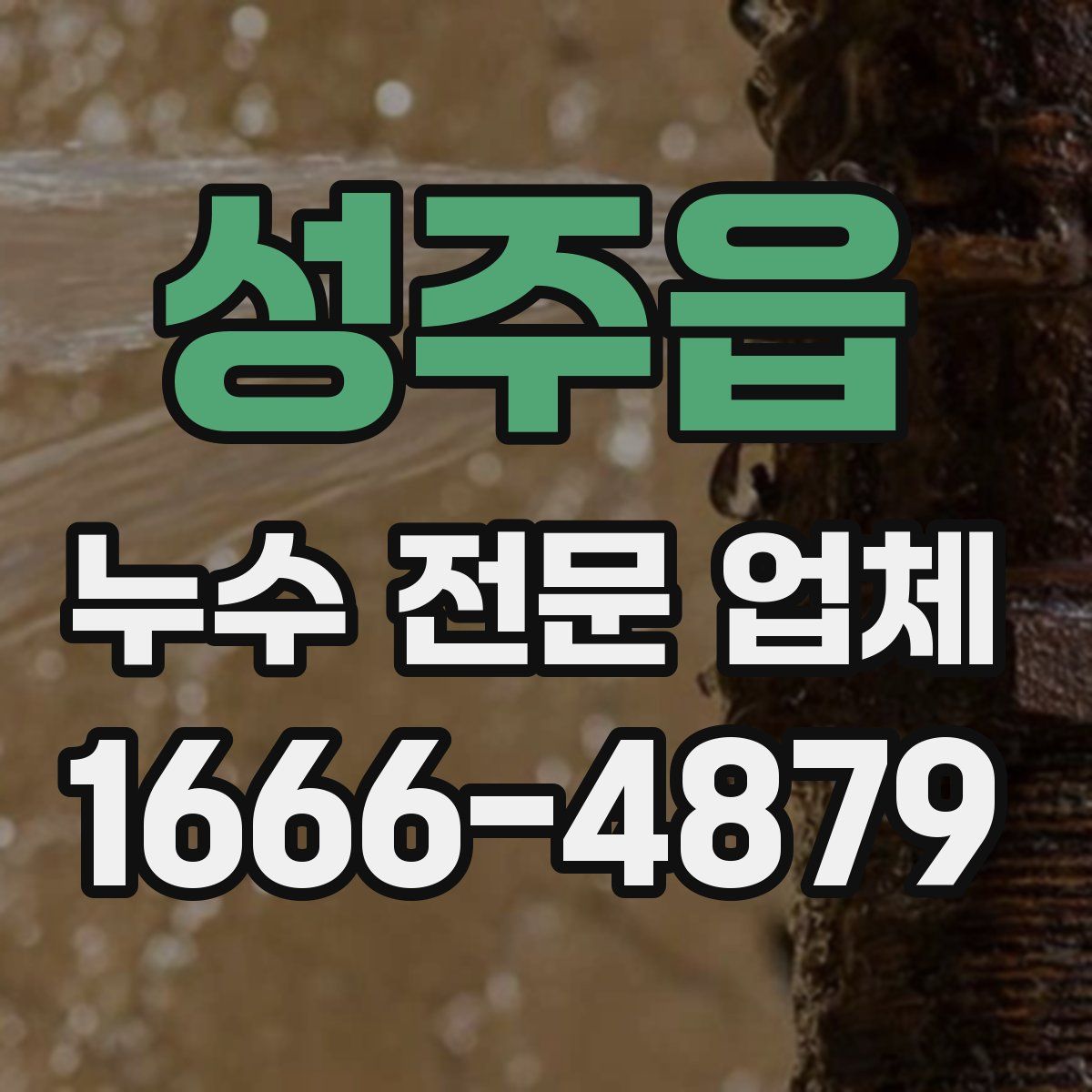 성주읍 누수 전문 업체