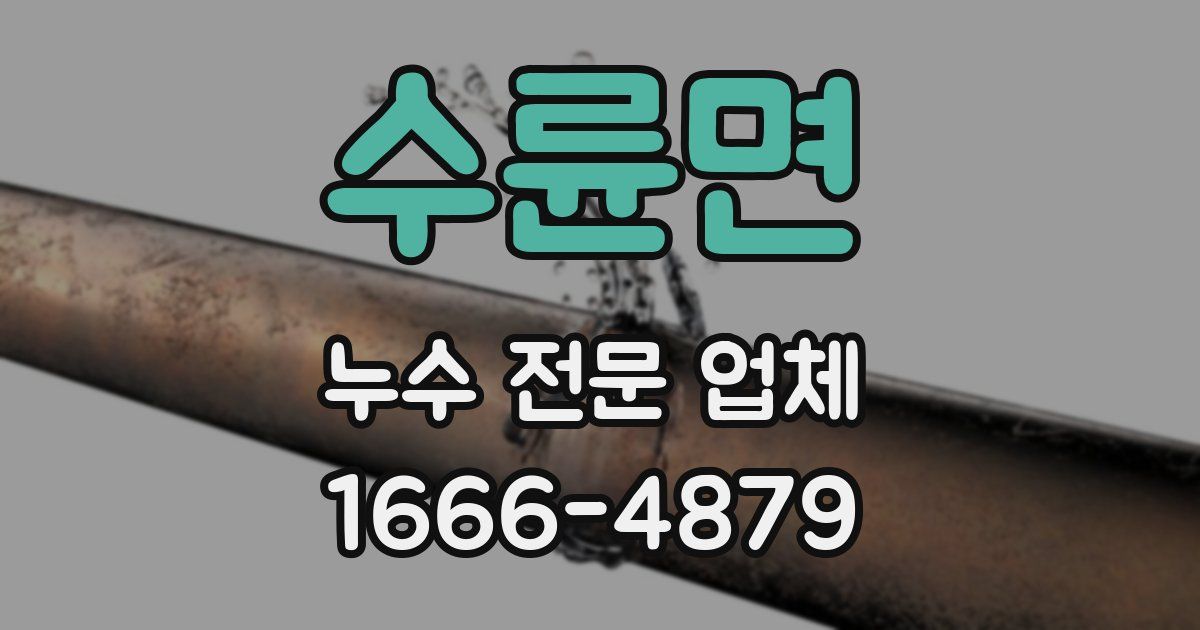 수륜면 누수 전문 업체