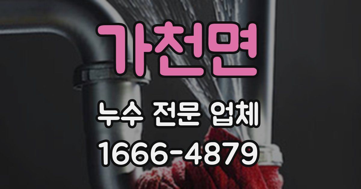 가천면 누수 전문 업체