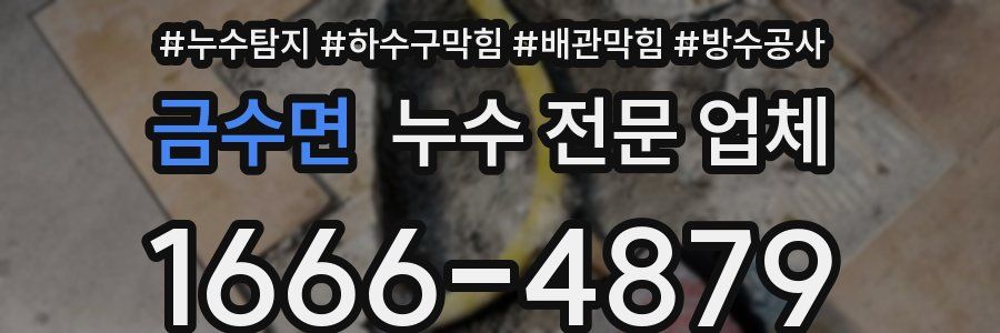 금수면 누수 전문 업체