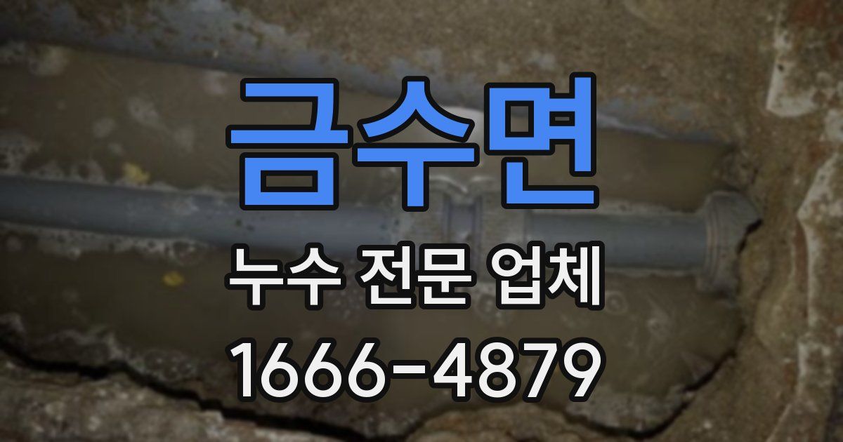 금수면 누수 전문 업체