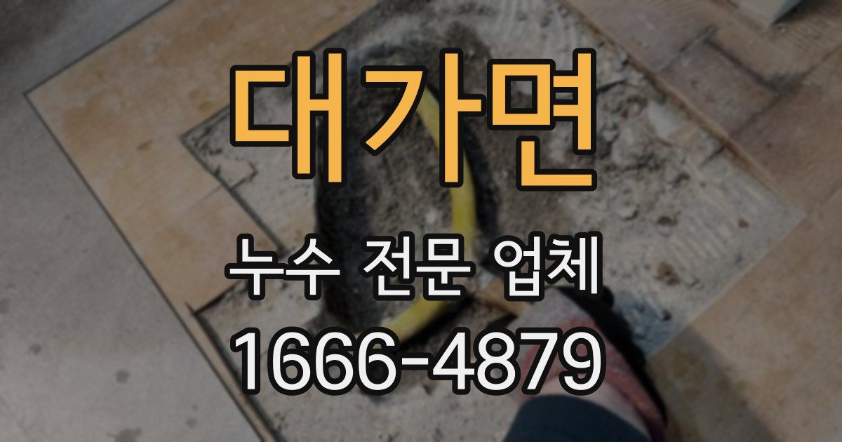 대가면 누수 전문 업체